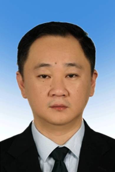 杨枫（退役军人事务部思想政治和权益维护司副司长、一级巡视员）