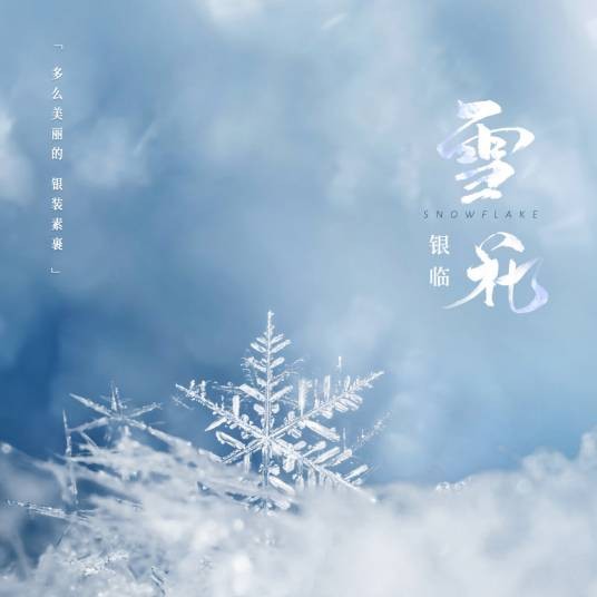 雪花（银临演唱歌曲）