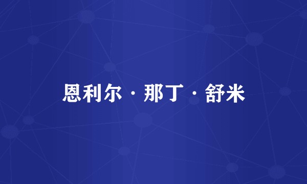 恩利尔·那丁·舒米