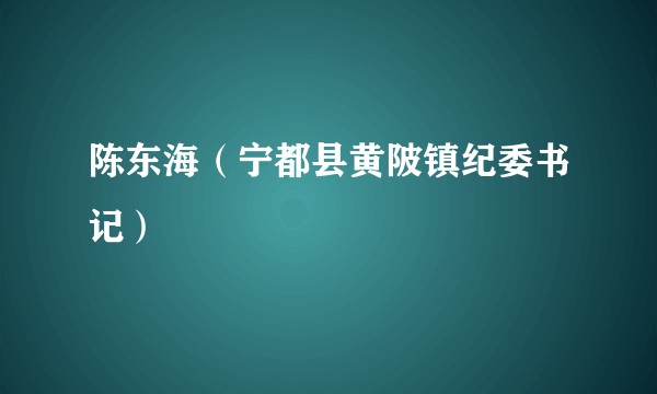 陈东海（宁都县黄陂镇纪委书记）