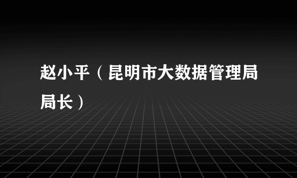 赵小平（昆明市大数据管理局局长）