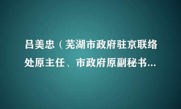 吕美忠(芜湖市政府驻京联络处原主任、市政府原副秘书长(兼))