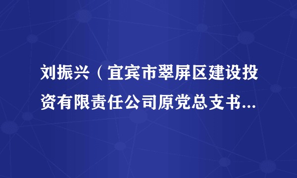 刘振兴(宜宾市翠屏区建设投资有限责任公司原党总支书记、董事长)