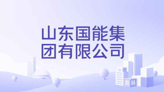 山东国能集团有限公司