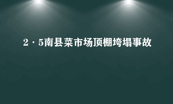 2·5南县菜市场顶棚垮塌事故