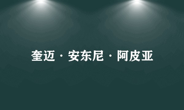 奎迈·安东尼·阿皮亚