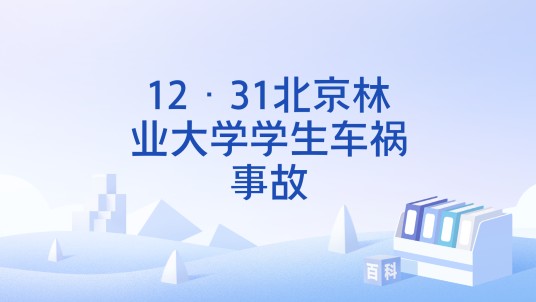 12·31北京林业大学学生车祸事故