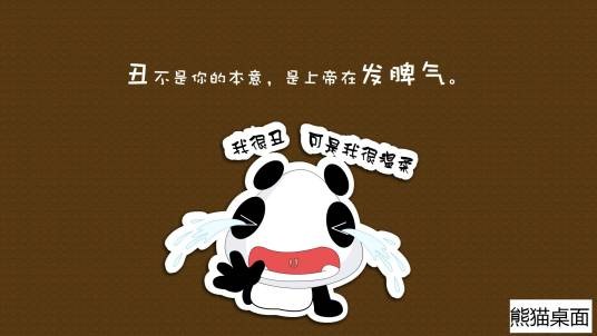 91熊猫桌面