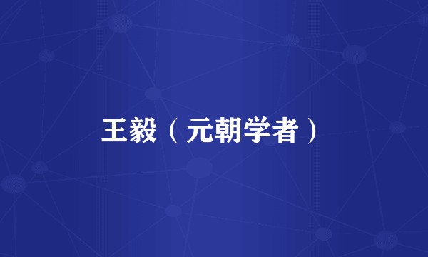 王毅（元朝学者）