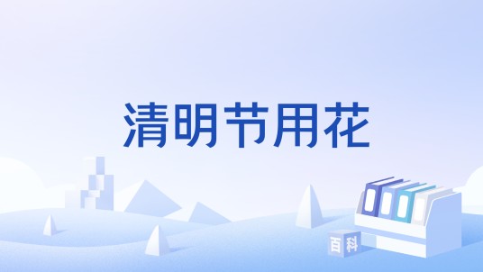 清明节用花