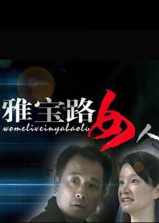 雅宝路女人（2007年韩素平执导的电视剧）