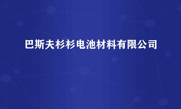 巴斯夫杉杉电池材料有限公司