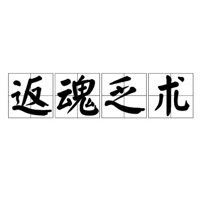 返魂乏术