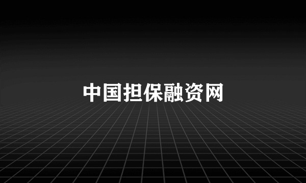 中国担保融资网
