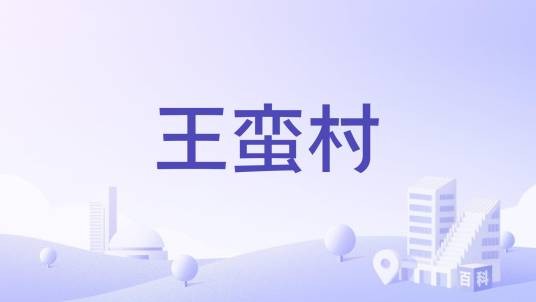 王蛮村