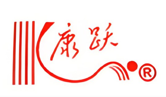 长江医药控股股份有限公司