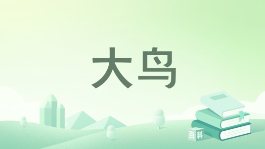大鸟（赵光鸣所著短篇小说集）