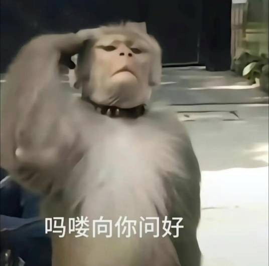 吗喽(网络流行语)