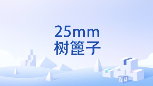 25mm树篦子