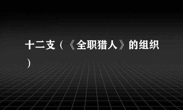十二支(《全职猎人》的组织)