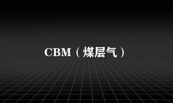 CBM（煤层气）