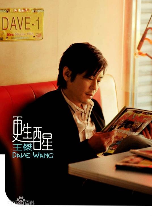 陪着你（2005年王杰演唱的歌曲）