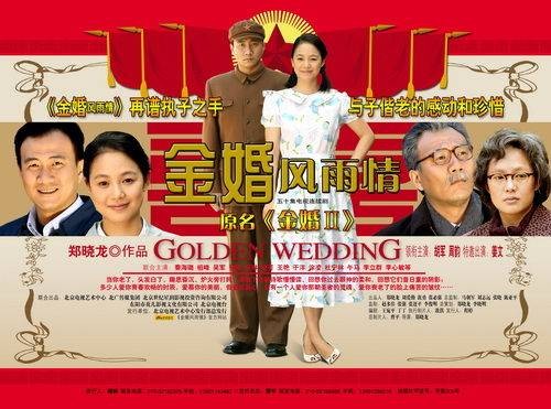 金婚风雨情（2010年胡军、周韵主演的年代家庭剧）