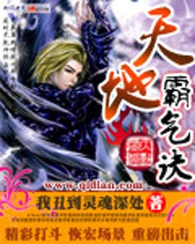 天地霸气诀（我丑到灵魂深处创作的网络小说）