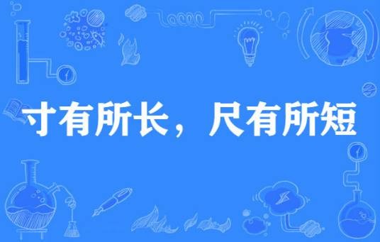 寸有所长，尺有所短