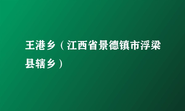 王港乡（江西省景德镇市浮梁县辖乡）