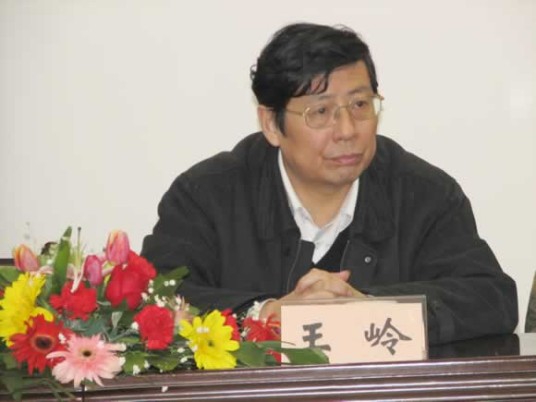 王岭（中国武汉钢铁股份有限公司总经理）
