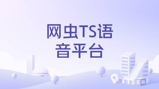 网虫TS语音平台