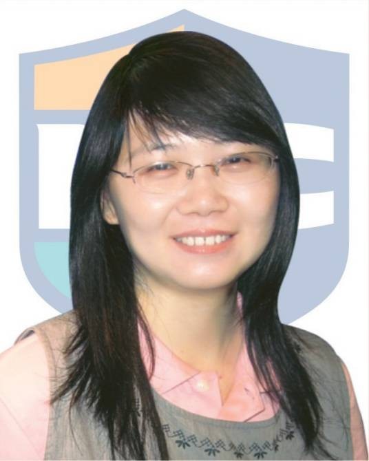 王莉（中国太原理工大学教授）