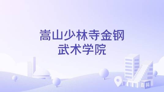 嵩山少林寺金钢武术学院
