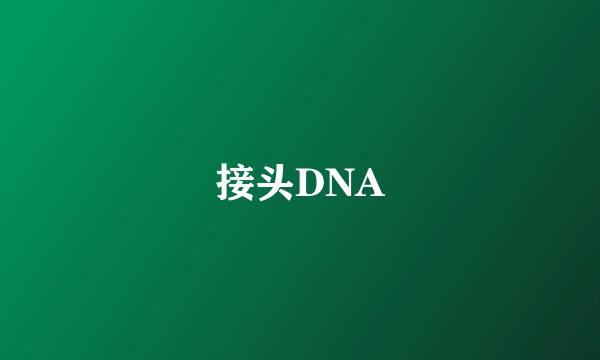 接头DNA
