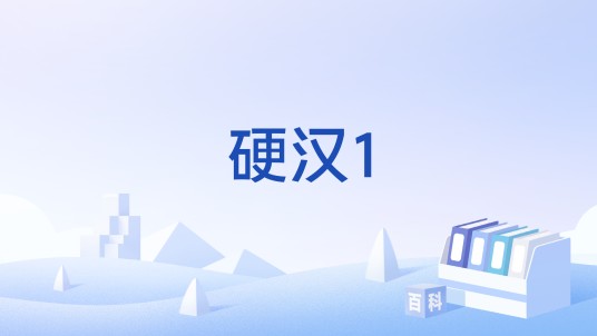 硬汉1