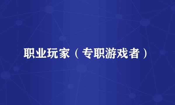 职业玩家（专职游戏者）