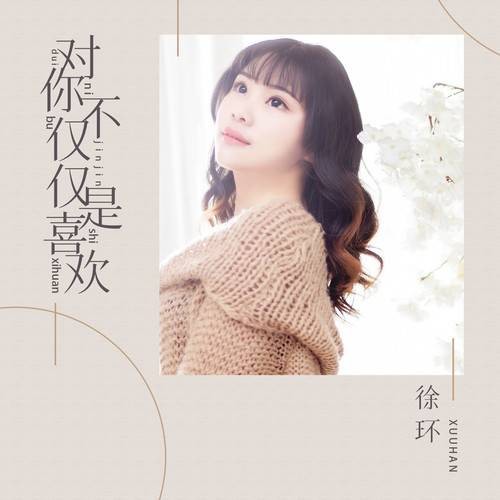 对你不仅仅是喜欢(徐环演唱的歌曲)