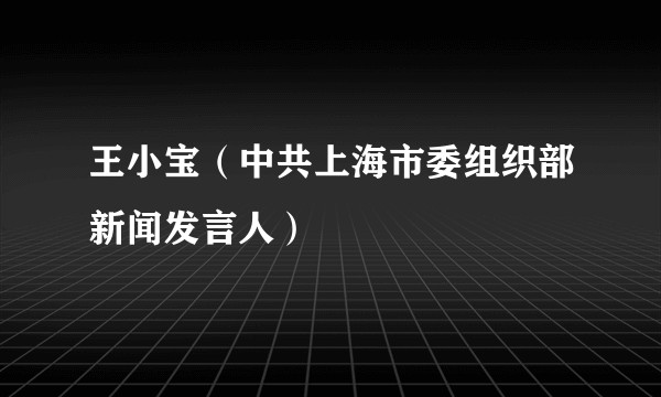 王小宝（中共上海市委组织部新闻发言人）