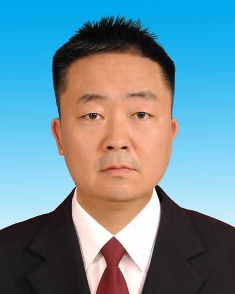 陈伟峰（河南省南阳市桐柏县淮源镇党委副书记、镇长）