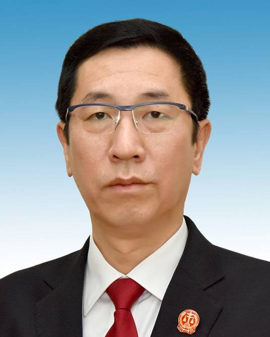 段文龙（河南省人民检察院党组书记、检察长、河南省检察官协会会长、中华人民共和国二级大检察官）