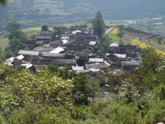 兴济村自然村