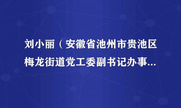 刘小丽（安徽省池州市贵池区梅龙街道党工委副书记办事处主任）