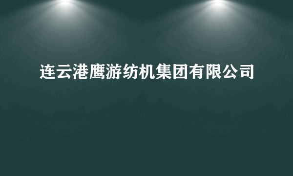 连云港鹰游纺机集团有限公司