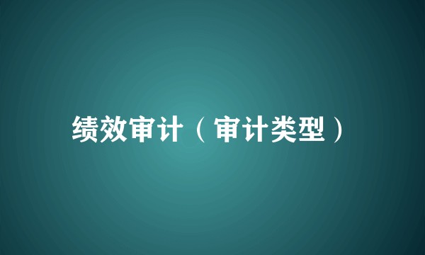 绩效审计（审计类型）