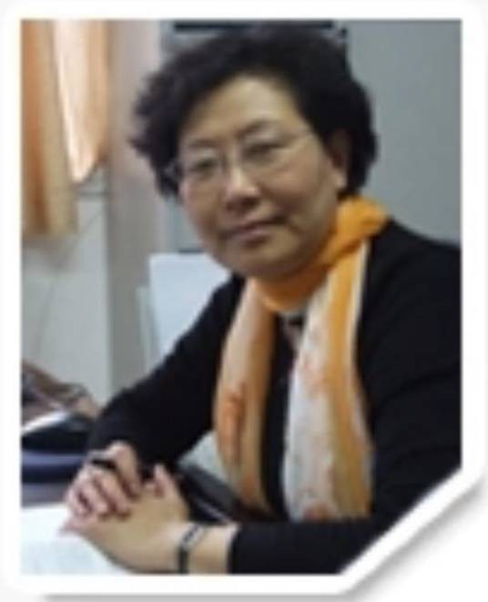 韩琳(中国马克思主义理论教授)