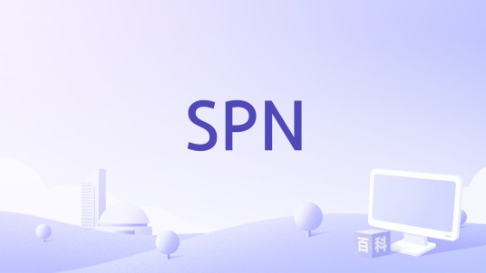 SPN（Service Principal name缩写）