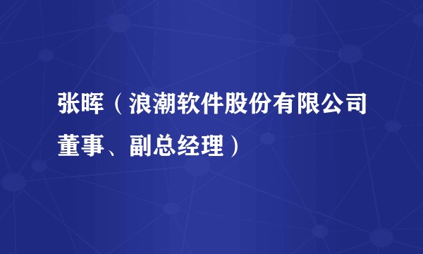 张晖(浪潮软件股份有限公司董事、副总经理)