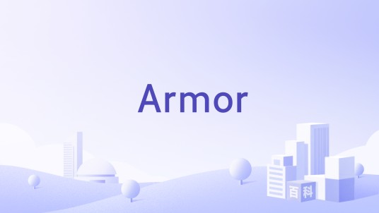 Armor（云安全技术服务公司）