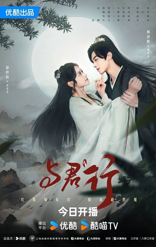 与君行（2024年方毅武、孙林执导的网络古装甜宠复仇轻喜剧）